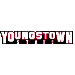 Youngstown State Penguins Wordmark Logo 2018 - Present